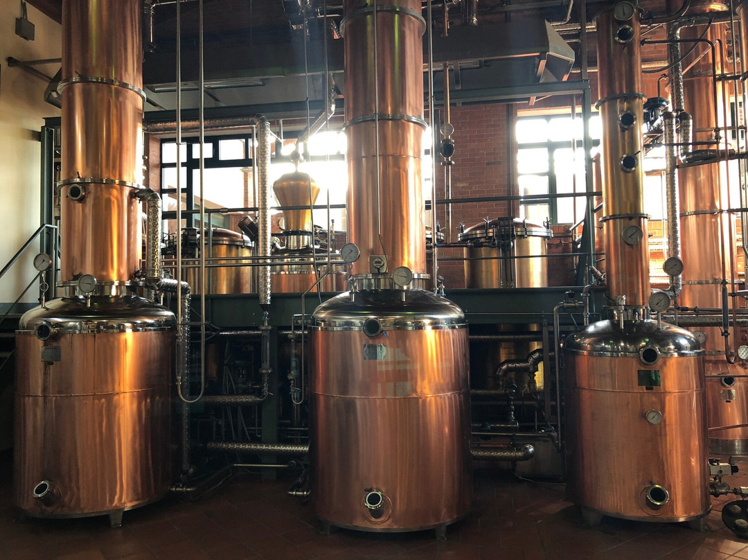 Distillerie Berta-Mombaruzzo必去景点