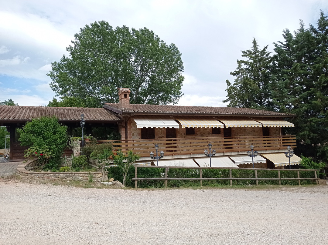 Albergo Il Tartufaro主图