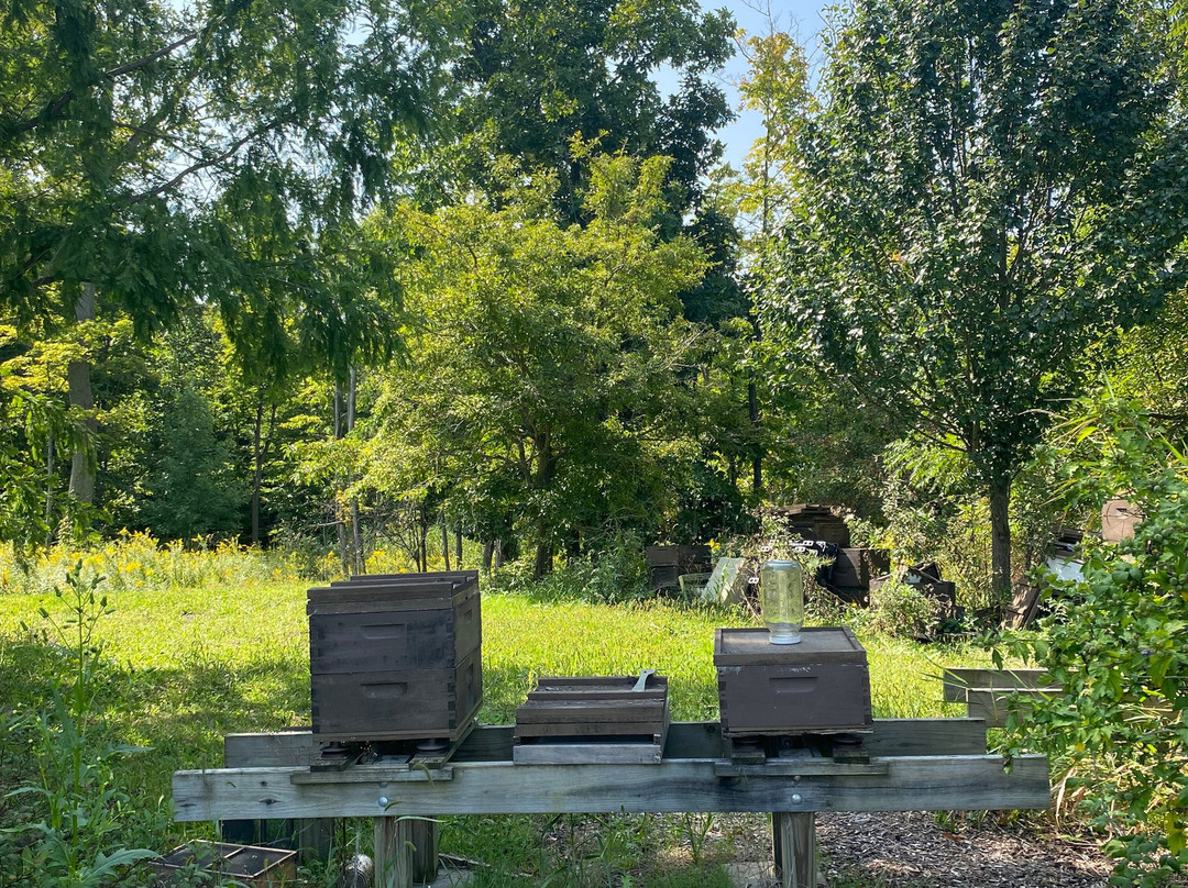 Lake Metroparks Farmpark-Kirtland必去景点