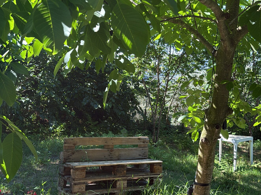 Il Giardino Segreto主图