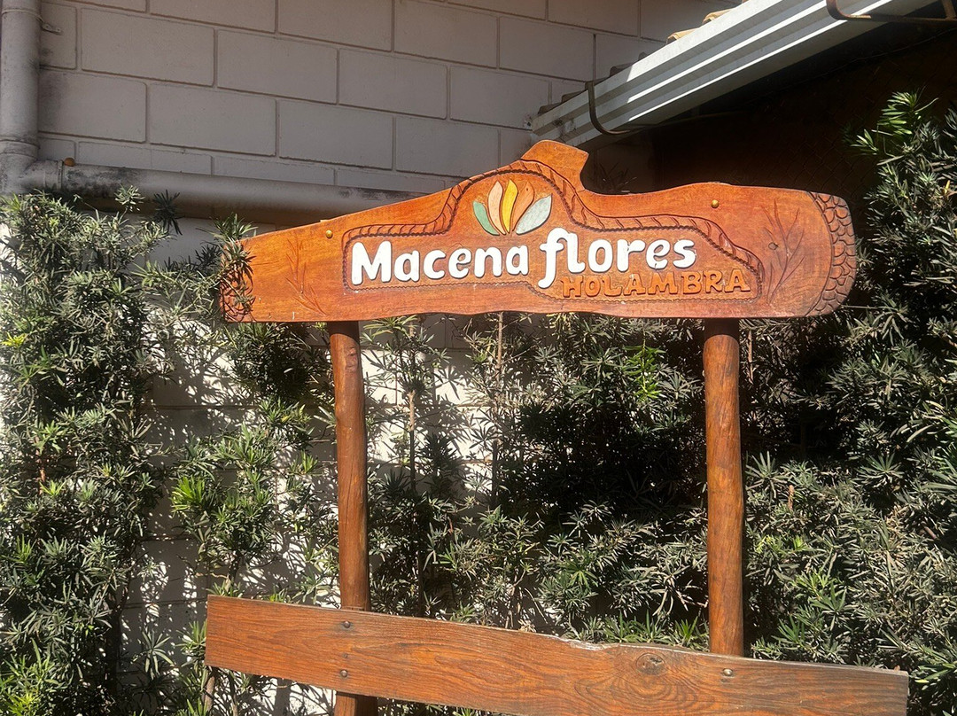 Macena Flores-Holambra必去景点