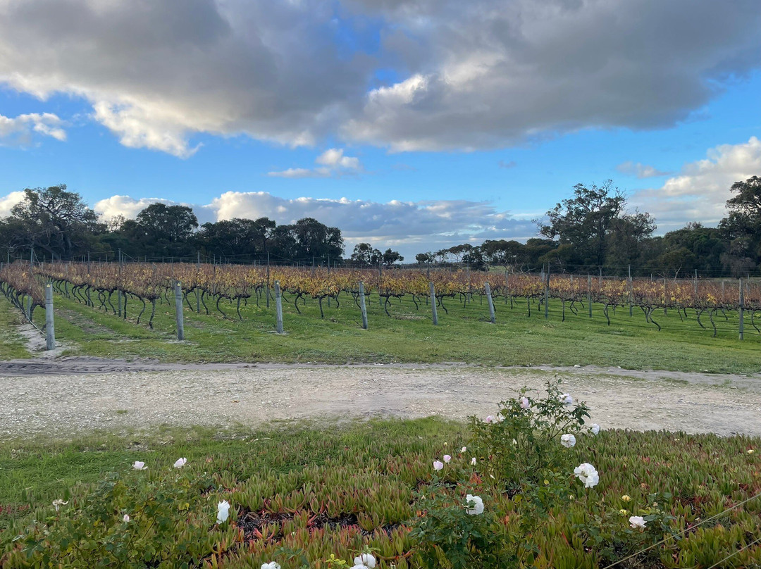 Vineyard 28-Yarloop必去景点