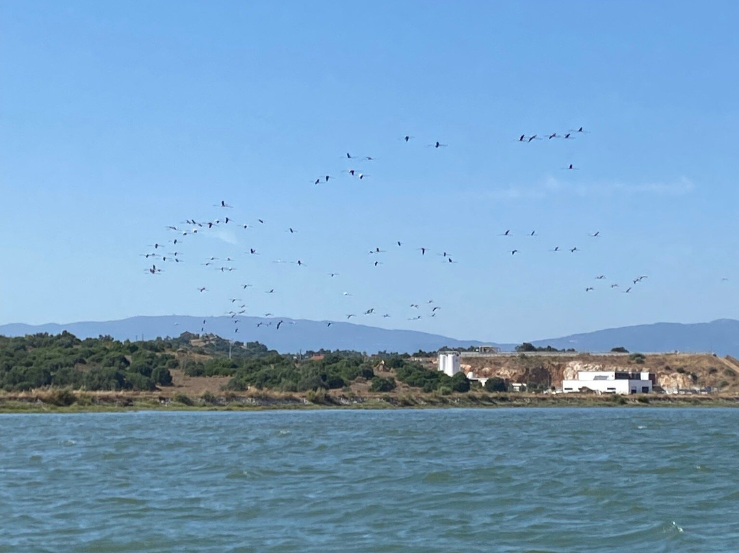 Ferragudo Boat Trips-费拉古多必去景点