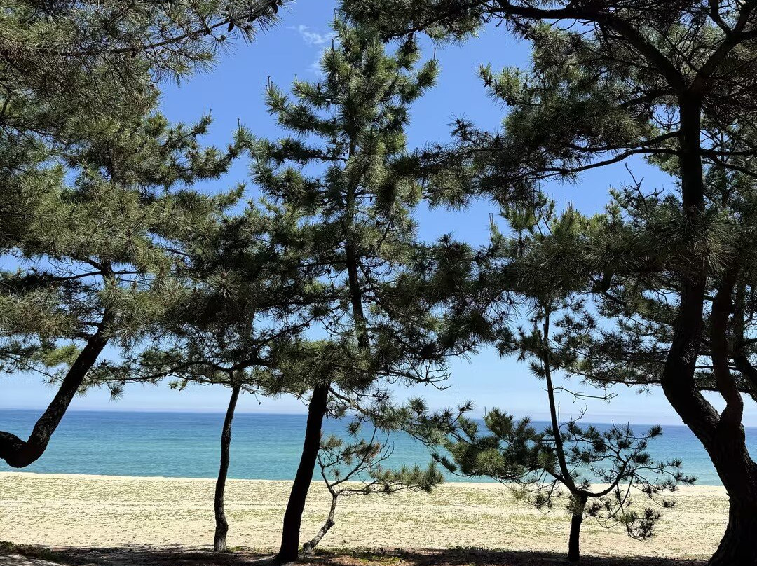 Gyeongpo Beach-江陵市必去景点
