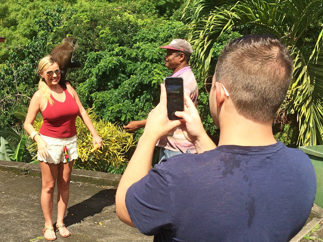 Vision Tours Grenada-St. George's必去景点