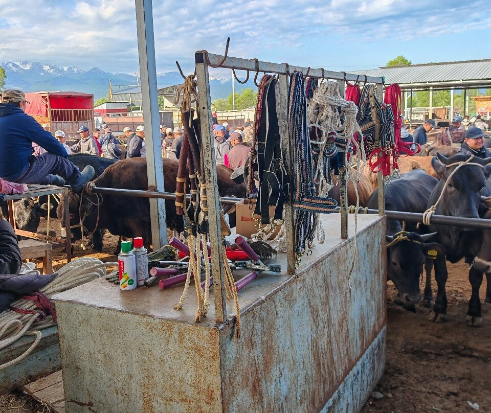 Karakol Cattle Market-Karakol必去景点