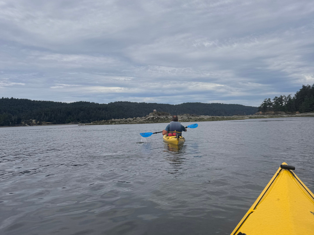 Dog Mermaid Eco Excursions, Kayak Rentals & Retreats-Pender Island必去景点