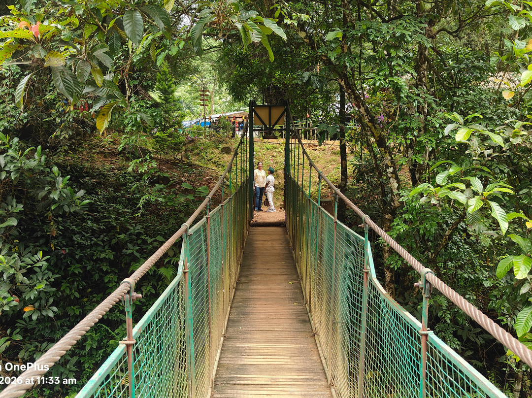 Munnar Taxi Sevice-慕那尔必去景点