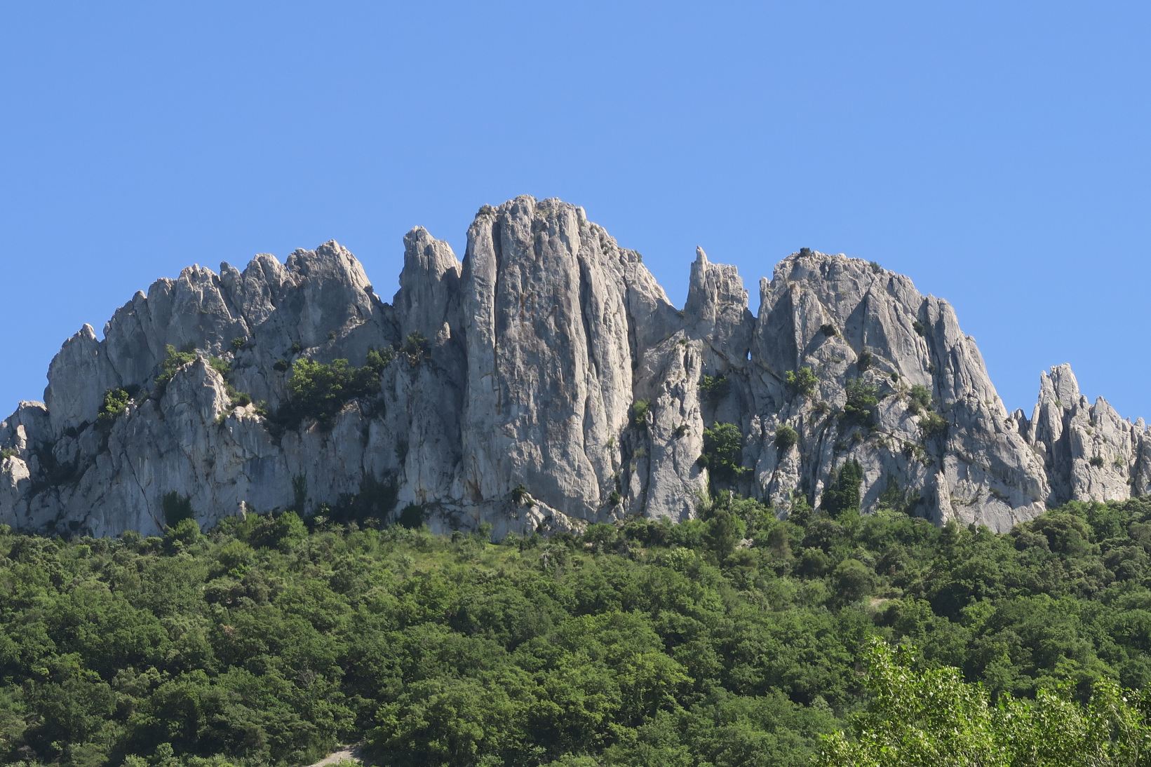 Hotel Les Florets-旅行者