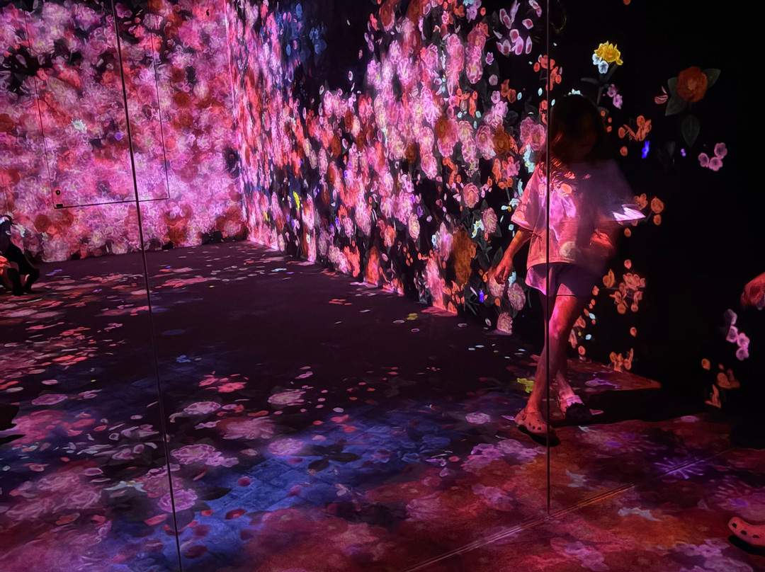 Teamlab Borderless Tokyo-港区必去景点
