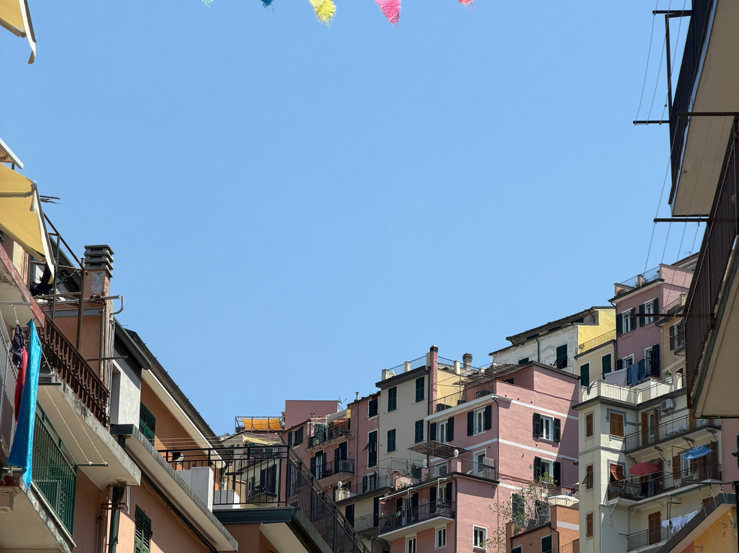 Manarola scenic viewpoint-Manarola必去景点