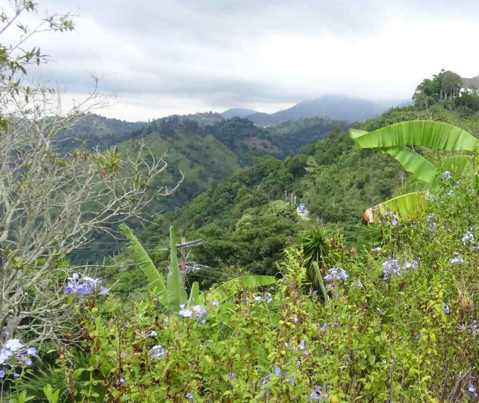 Blue Mountain Peak-蓝山国家公园必去景点