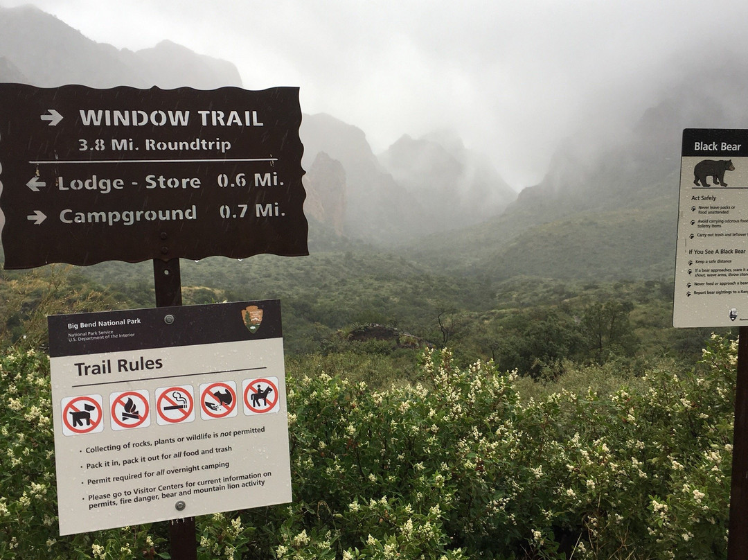 The Window Trail-大弯国家公园必去景点