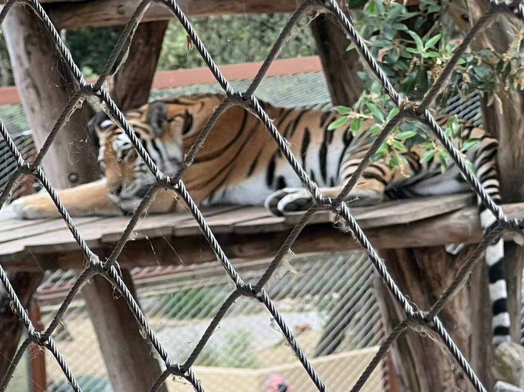 Zoo de La Palmyre-La Palmyre-Les Mathes必去景点