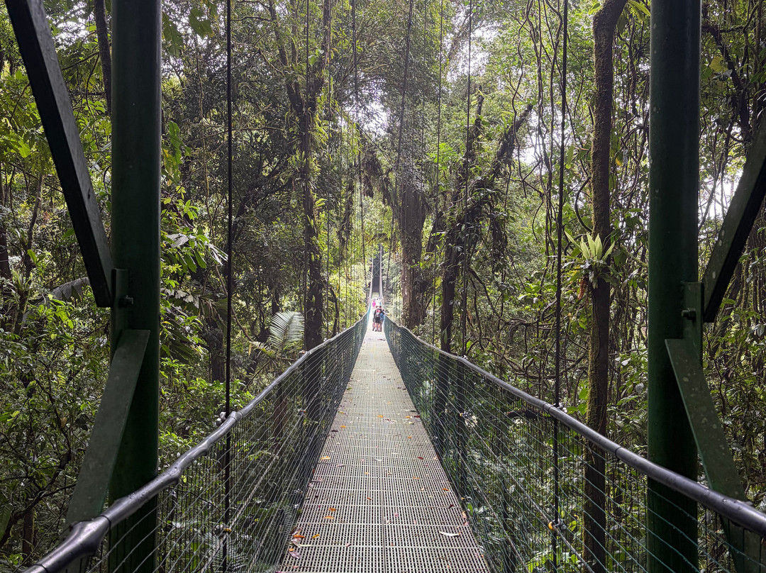 Sky Adventures - Arenal Park-阿雷纳火山国家公园必去景点