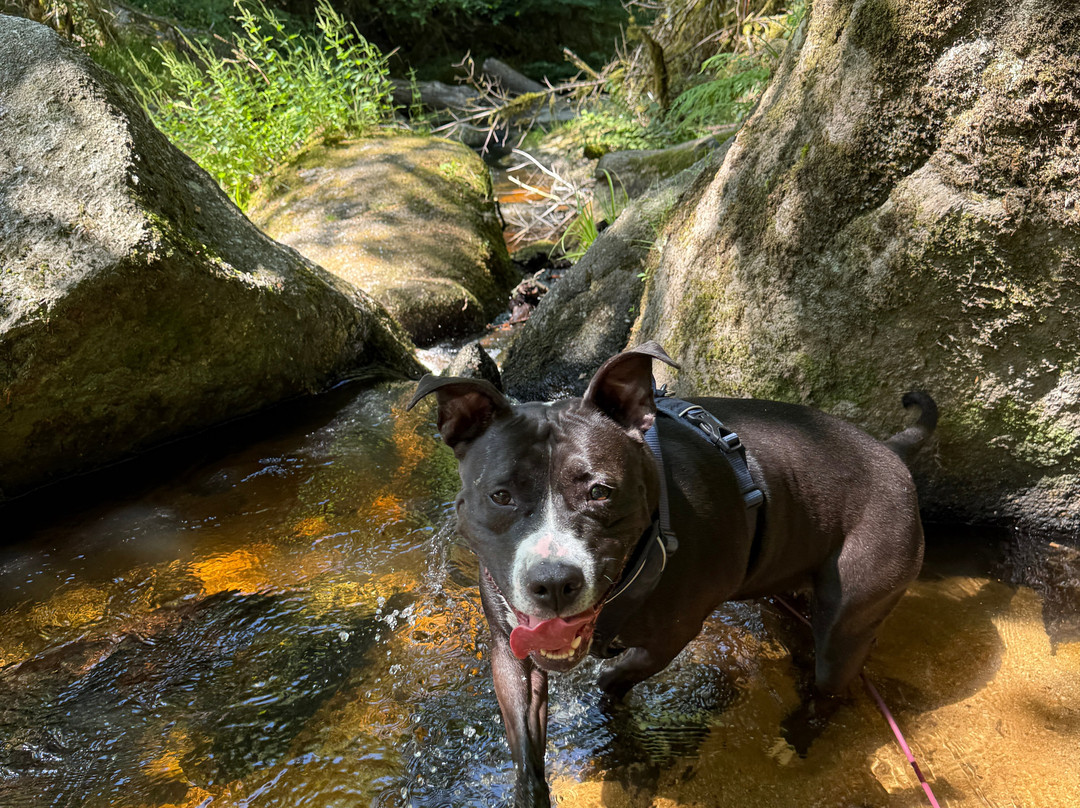Cascades des jarrauds-Saint-Pardoux-Morterolles必去景点