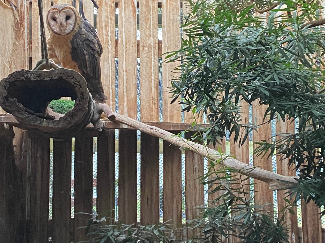 Raptor Refuge-Kettering必去景点