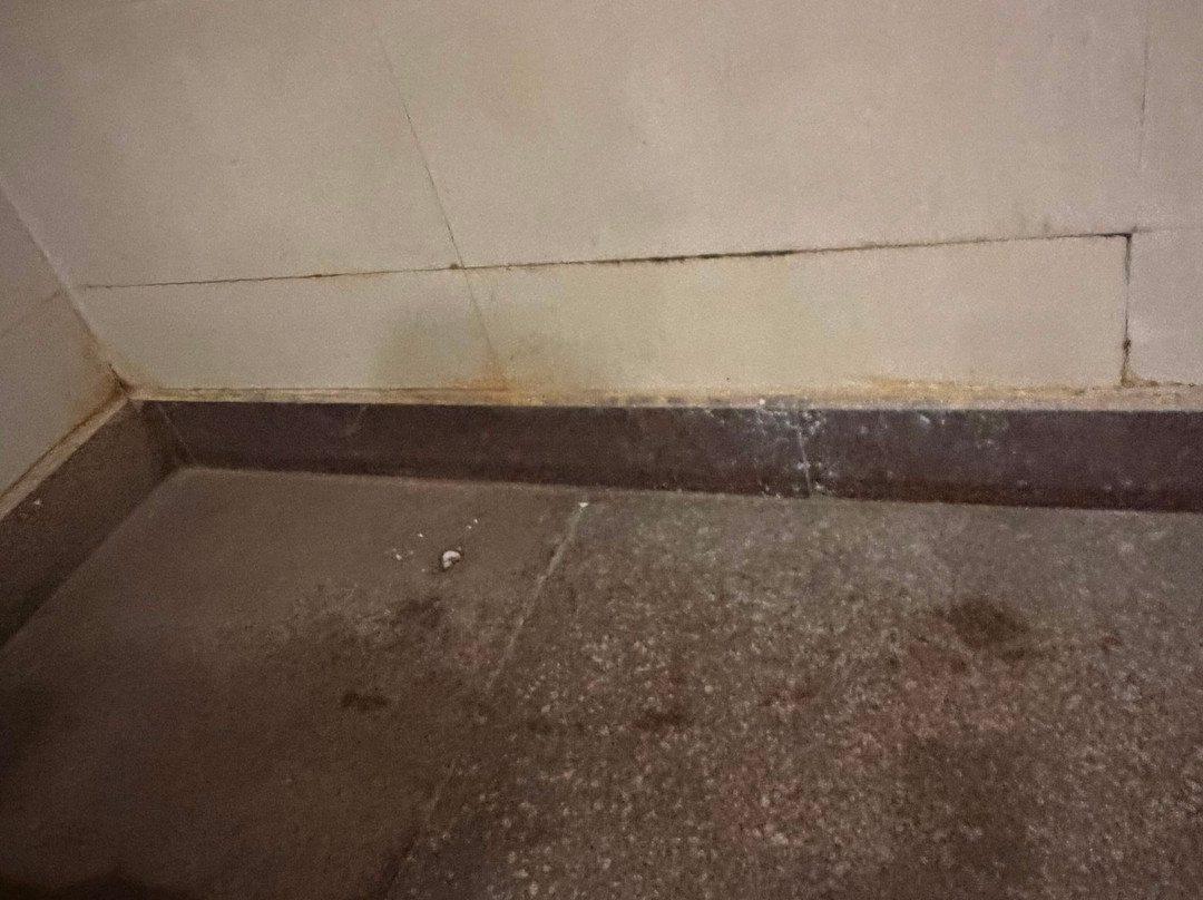 查漠丽王酒店主图