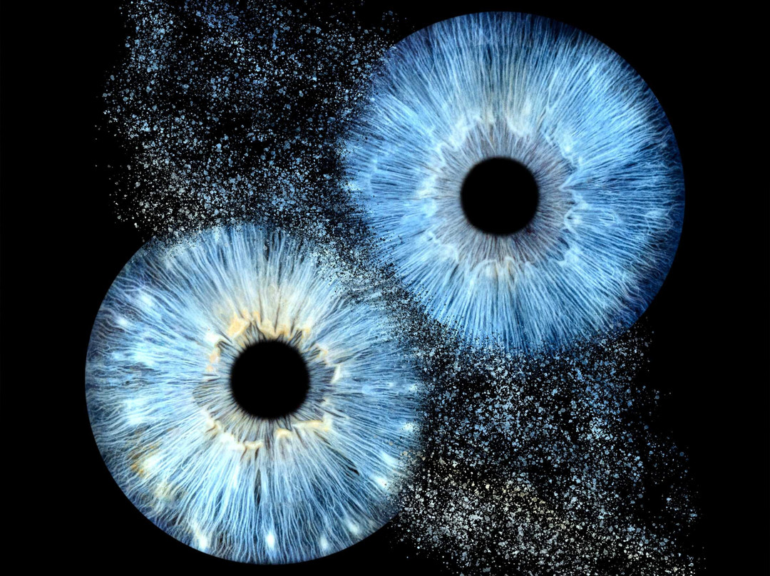 Iris Galerie Hasselt-哈瑟尔特必去景点