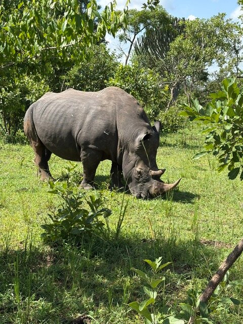 Trek Rwenzori Tours-Fort Portal必去景点