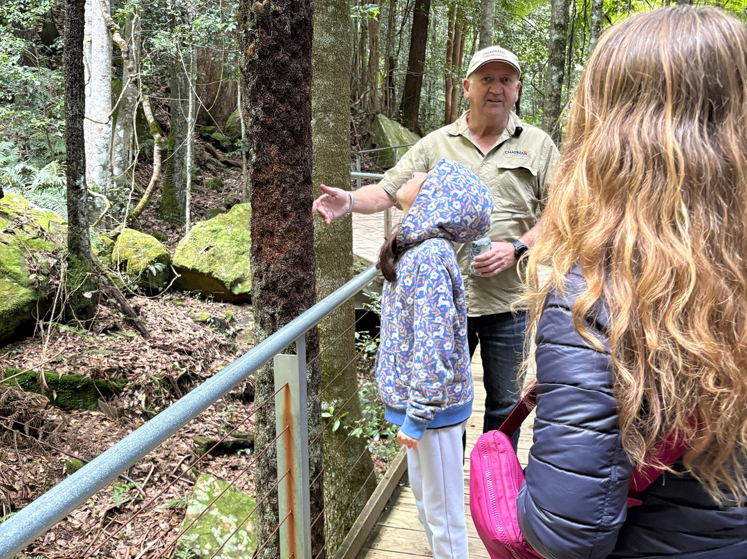 Blue Mountains Tours-格兰布鲁克必去景点