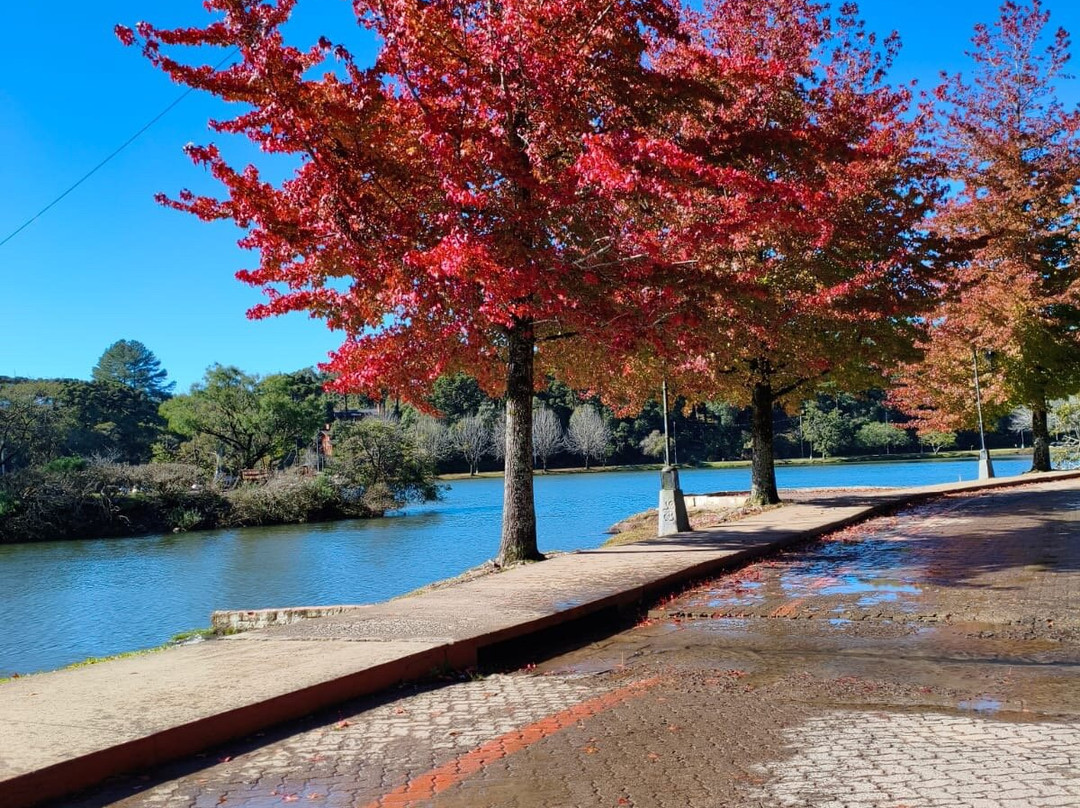 Lago Sao Bernardo-Sao Francisco de Paula必去景点