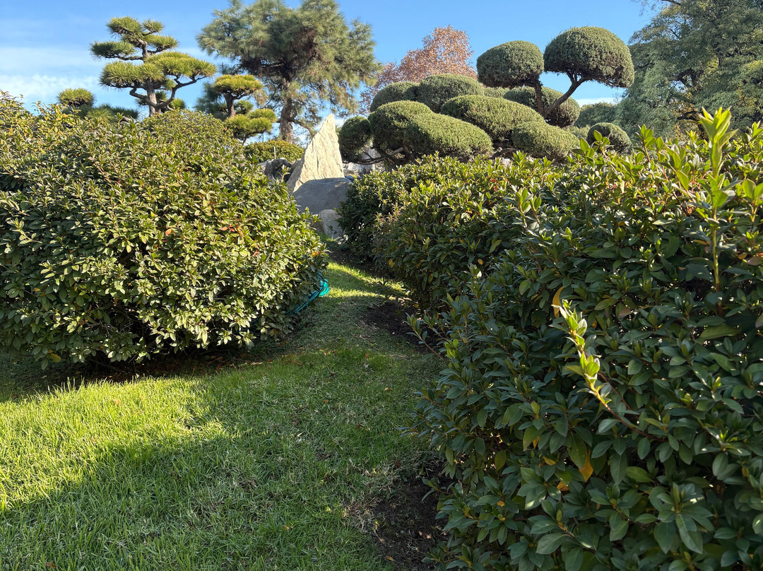 Jardín Japonés-布宜诺斯艾利斯必去景点