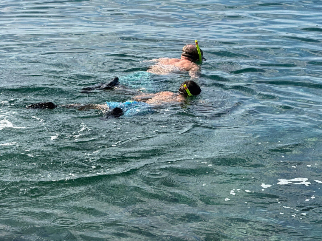 Azure Voyage Dubrovnik-杜布罗夫尼克必去景点
