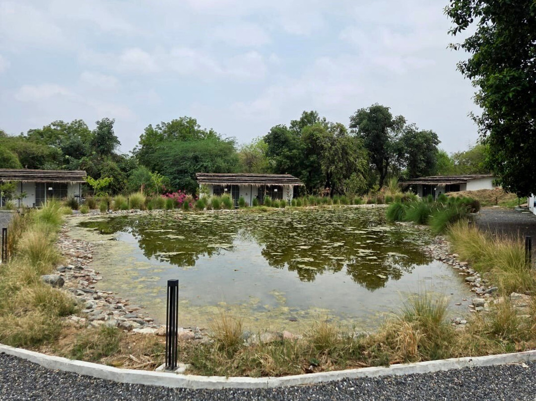 Vanvasa Ranakpur By Samav