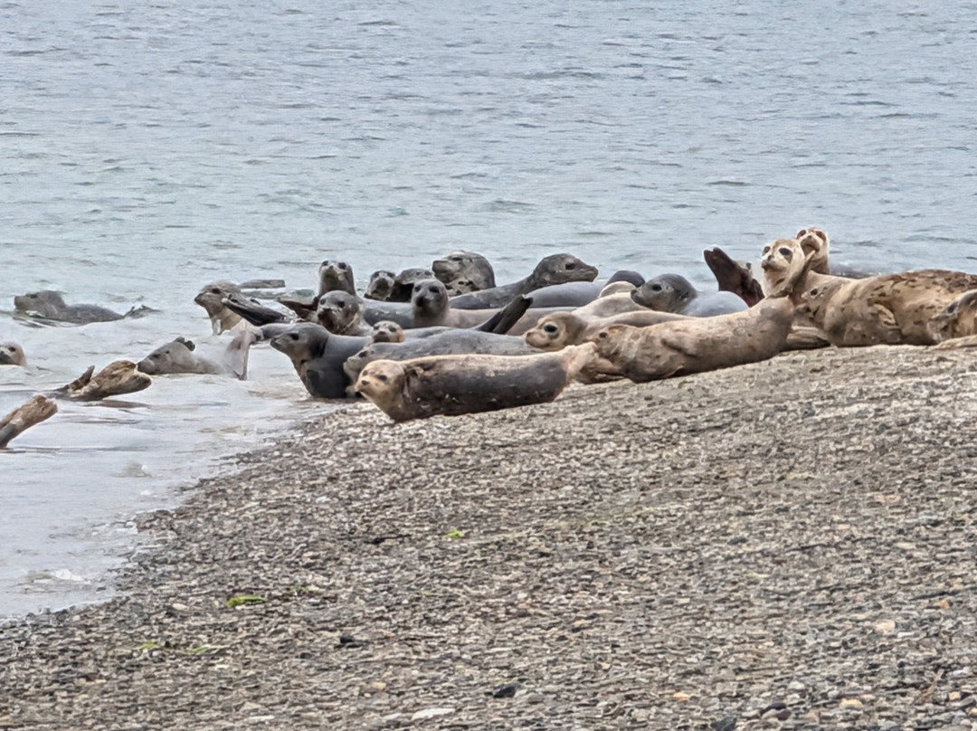 Cutts Island State Park