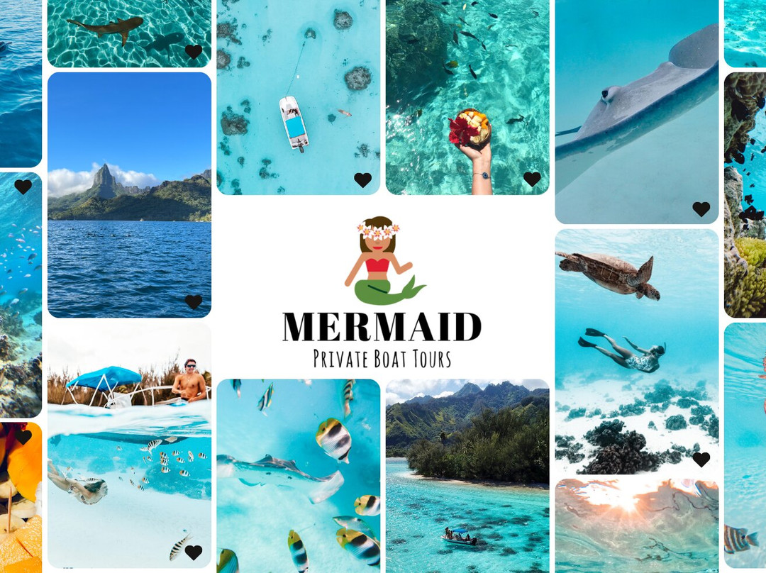 Mermaid Private Boat Tours-莫雷阿岛必去景点