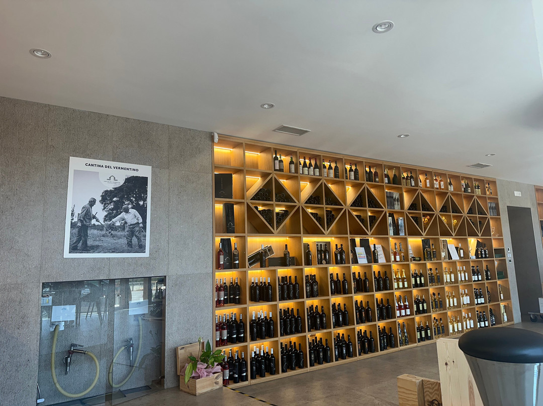 Cantina sociale del vermentino di monti-Monti必去景点
