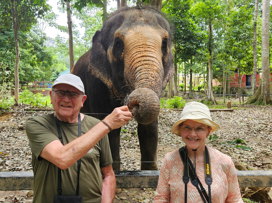 Kuala Gandah Elephant Sanctuary-彭亨必去景点