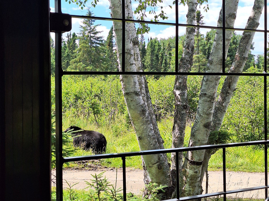 Zoo Sauvage of Saint-Felicien-Saint-Felicien必去景点