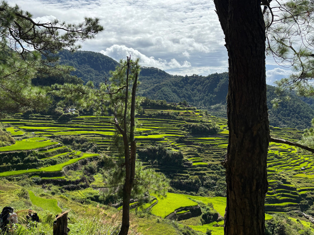 Maligcong Rice Terraces-Bontoc必去景点