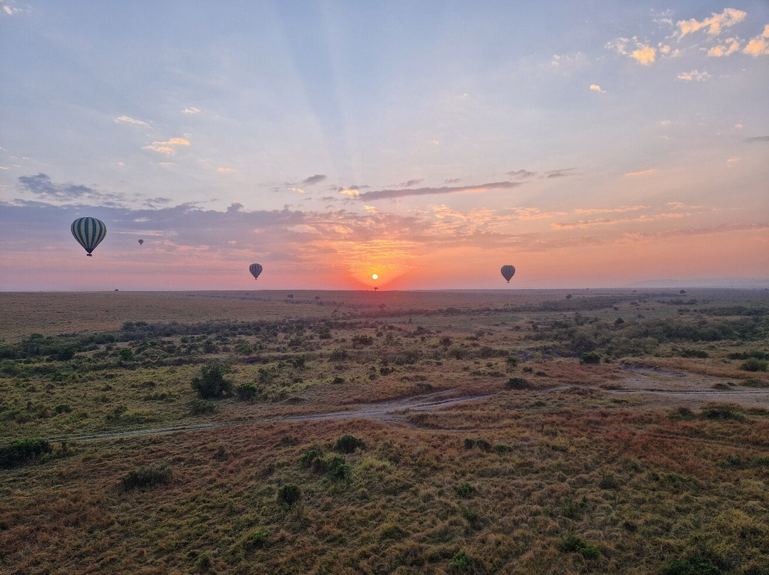 Hot Air Safaris-马赛马拉国家野生动物保护区必去景点