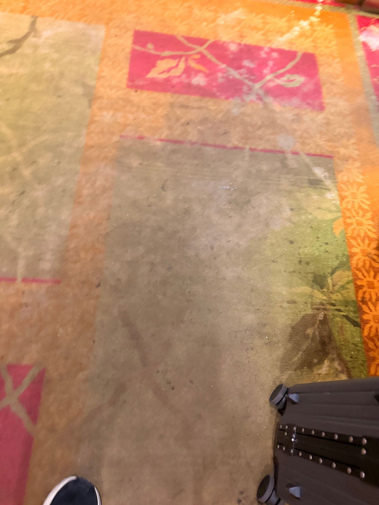 奥本希尔斯南部底特律欢朋酒店-度假村/酒店