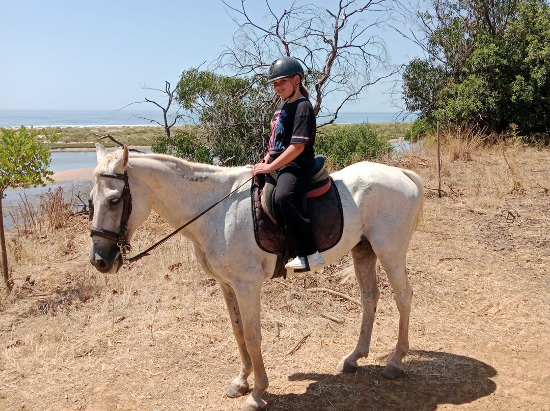 Tavira Equestrian Tourism-塔维拉必去景点