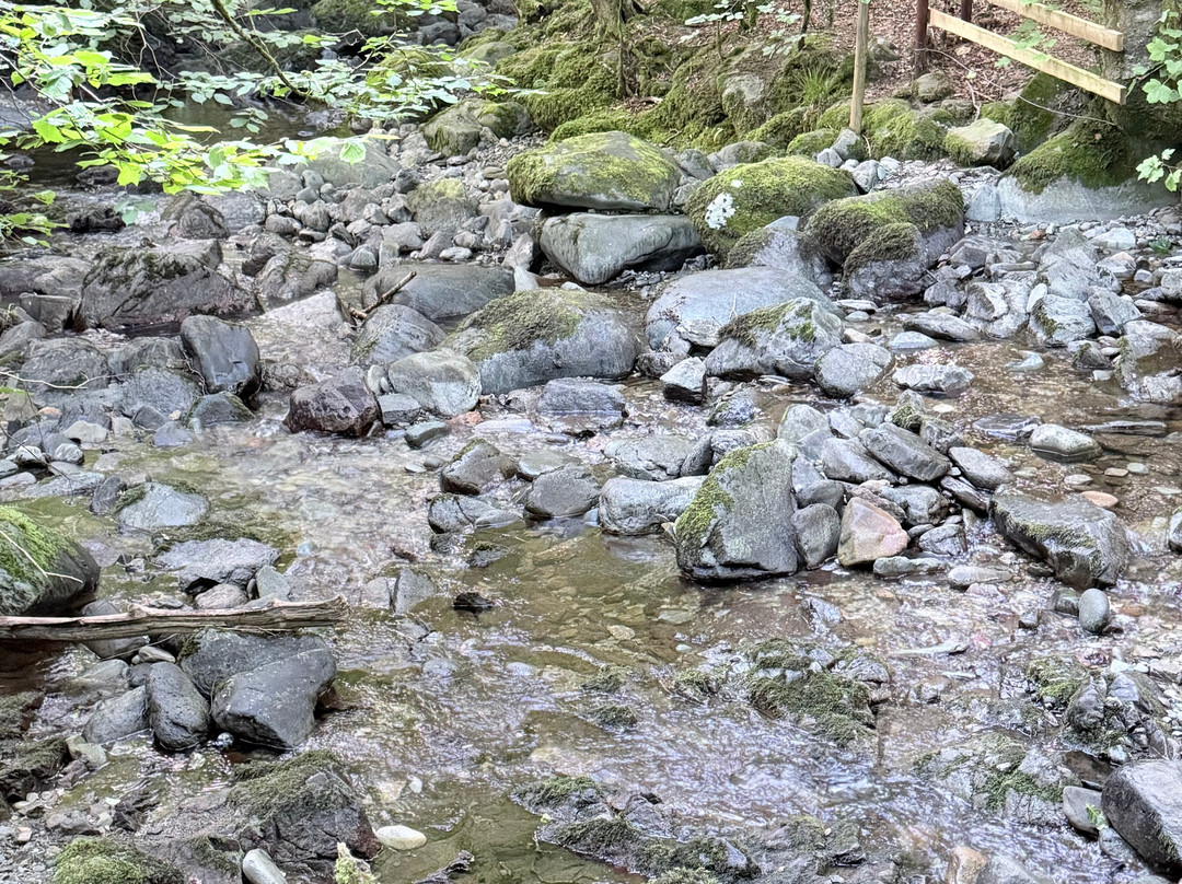 Stock Ghyll Force-安布赛德必去景点