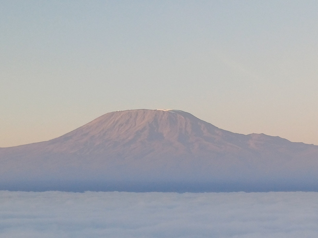 Kilimanjaro Balloon Safaris-安博塞利国家公园必去景点