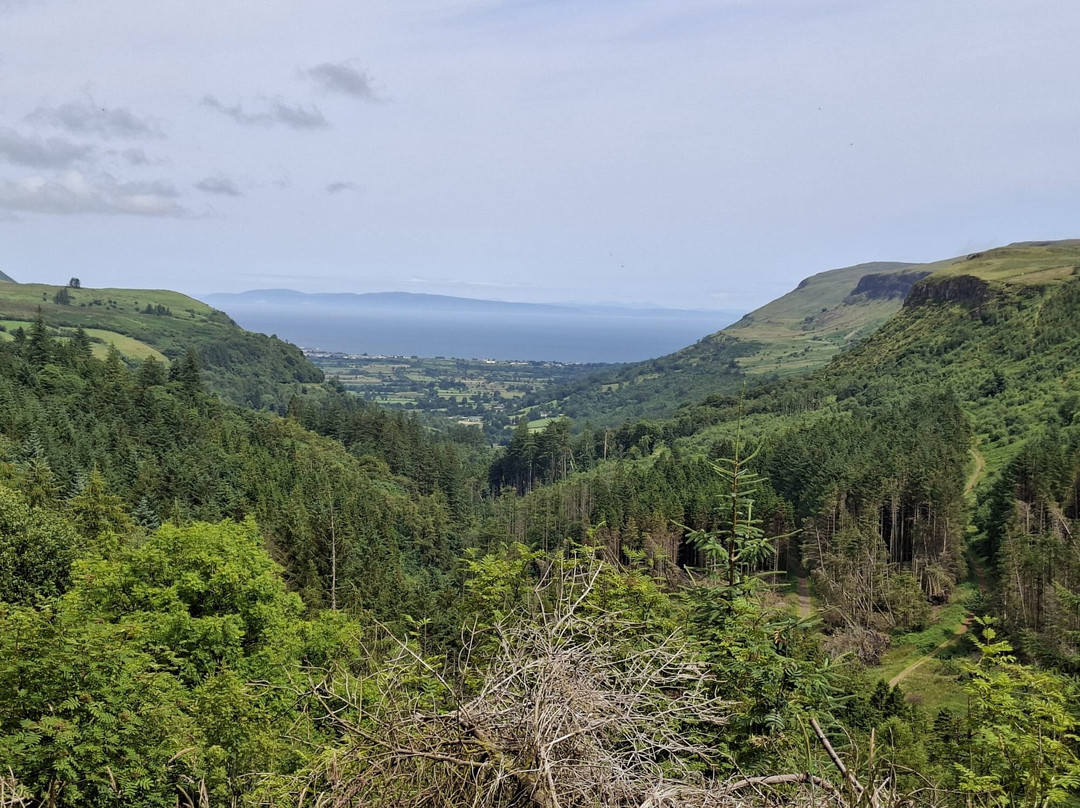 Footfalls Walking Holidays-Roundwood必去景点