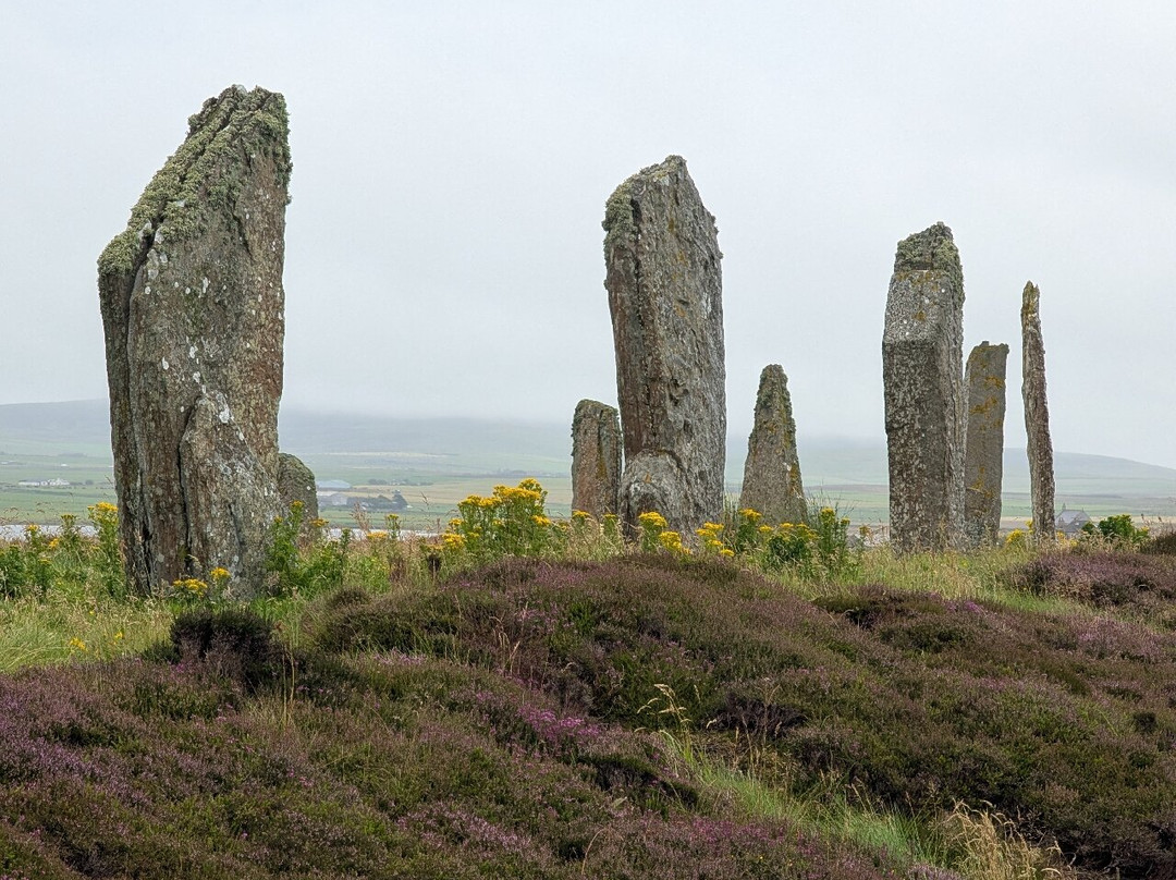 Experience Orkney Tours-奥克尼群岛必去景点