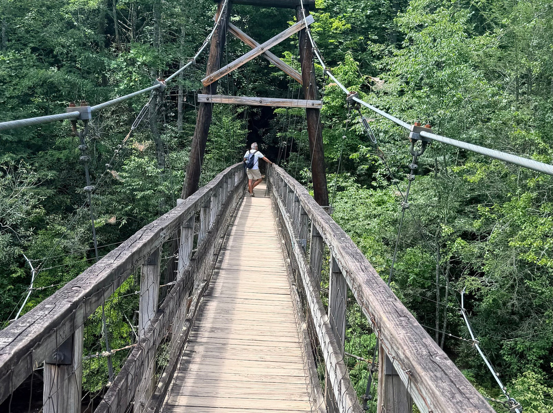 Swinging Bridge on the Toccoa River-蓝岭必去景点