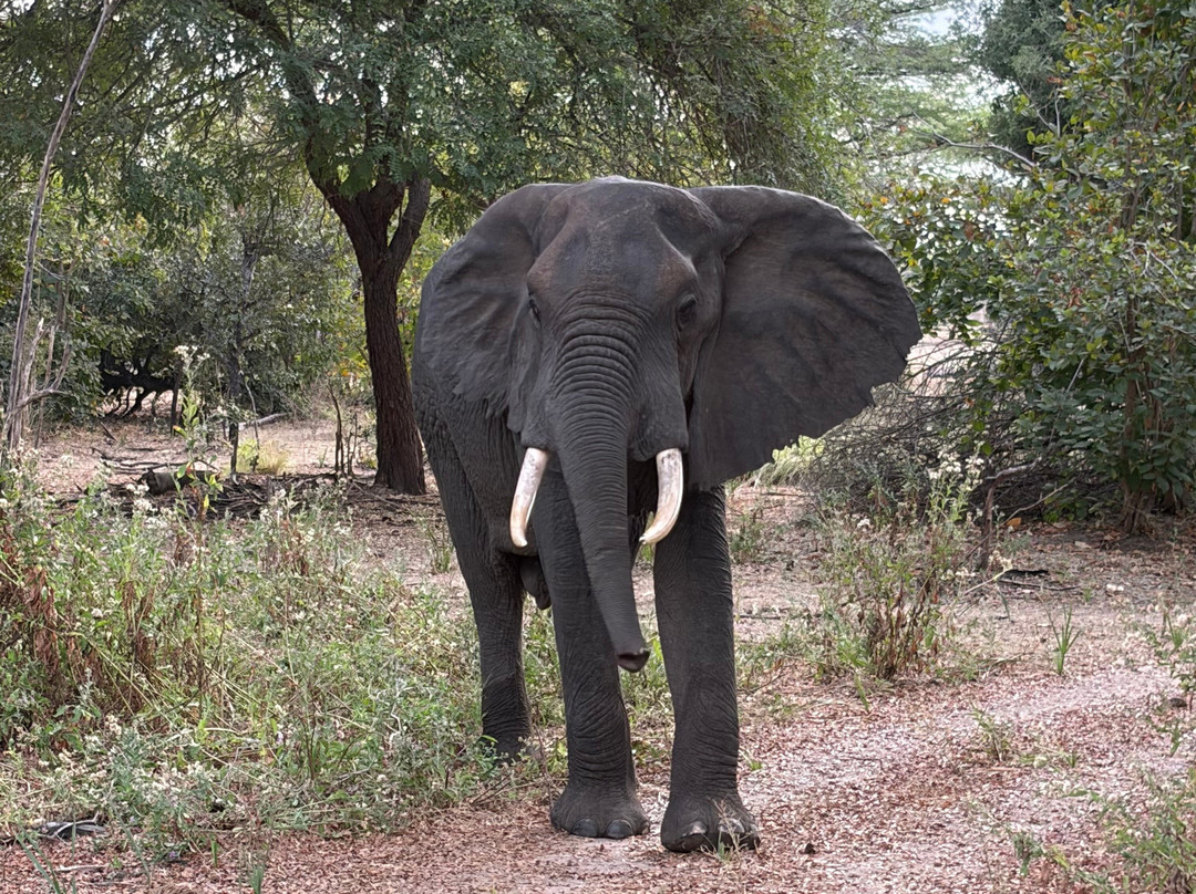 GoSmart Zanzibar Tours & Safari-Kiembi Samaki必去景点