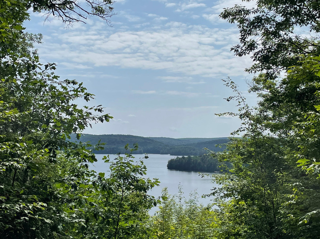 Hardwood Lookout Trail-阿冈昆公园必去景点