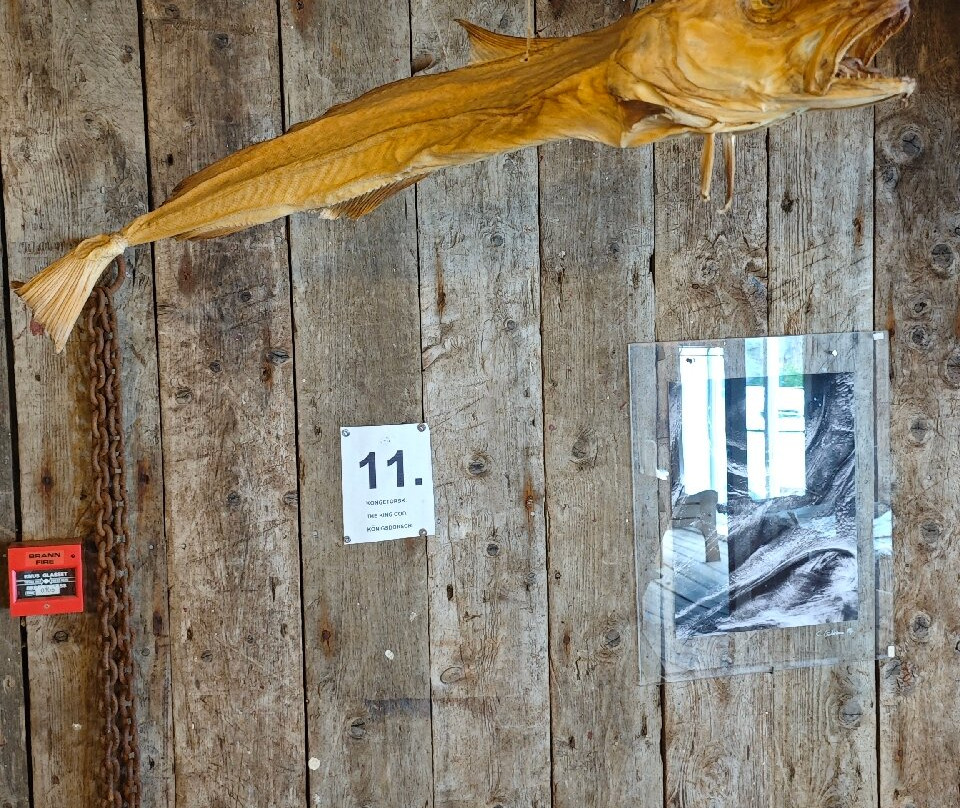 Lofoten Stockfish Museum-Moskenes Municipality必去景点