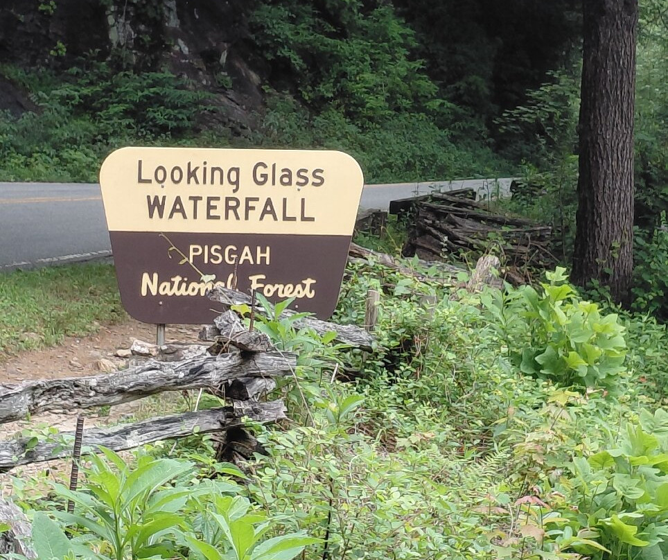 Looking Glass Falls-Pisgah Forest必去景点