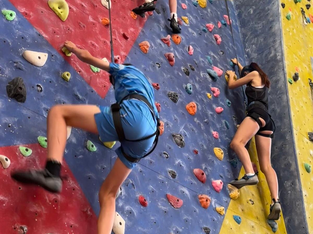 Awesome Walls Climbing Centre Stockport-斯托克波特必去景点