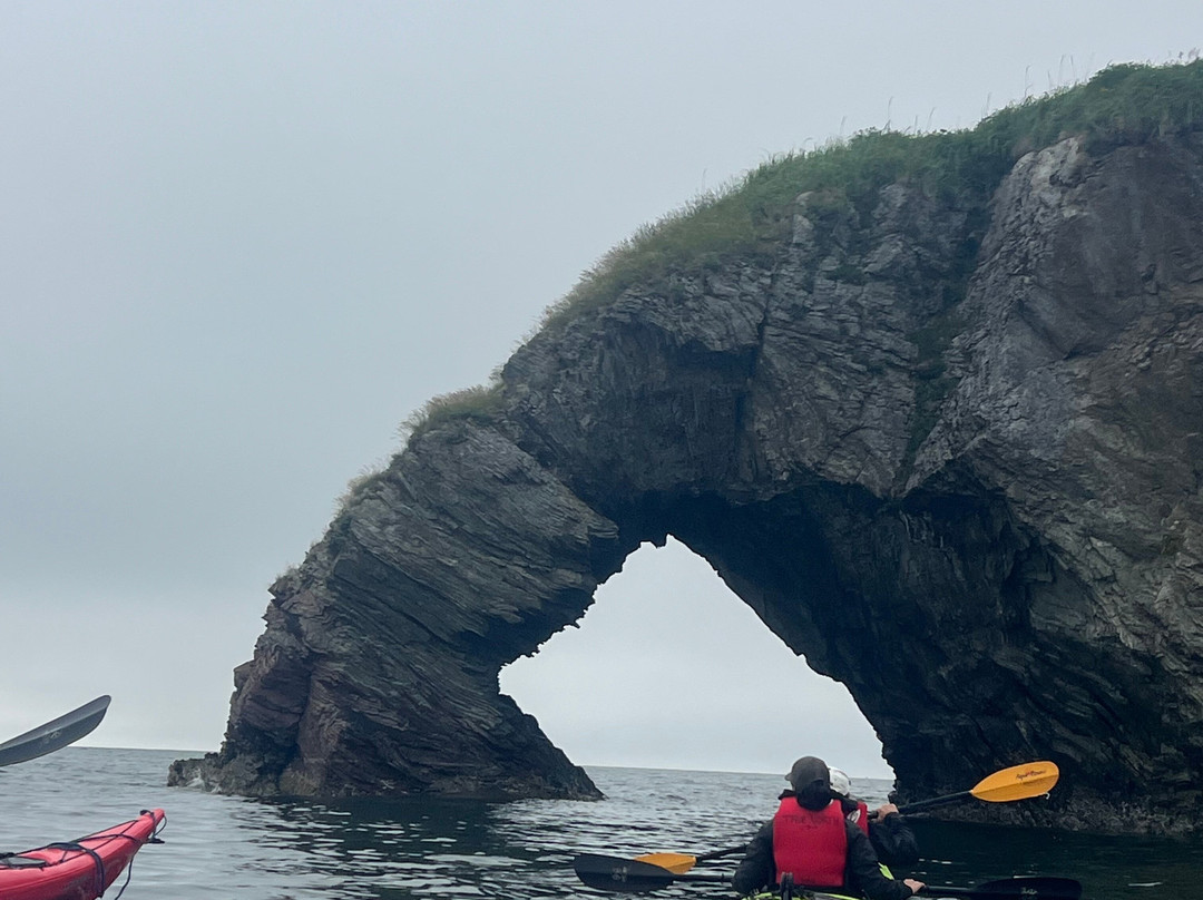 True North Kayak Adventures-荷马必去景点