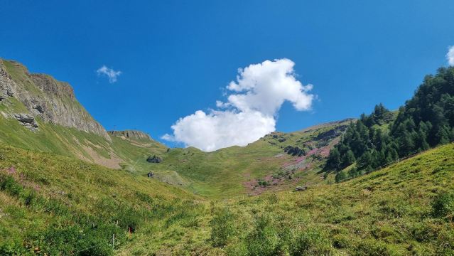 达拉勒克巴德公寓酒店-旅行者